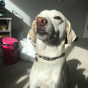 Meet your Posher, Isabella